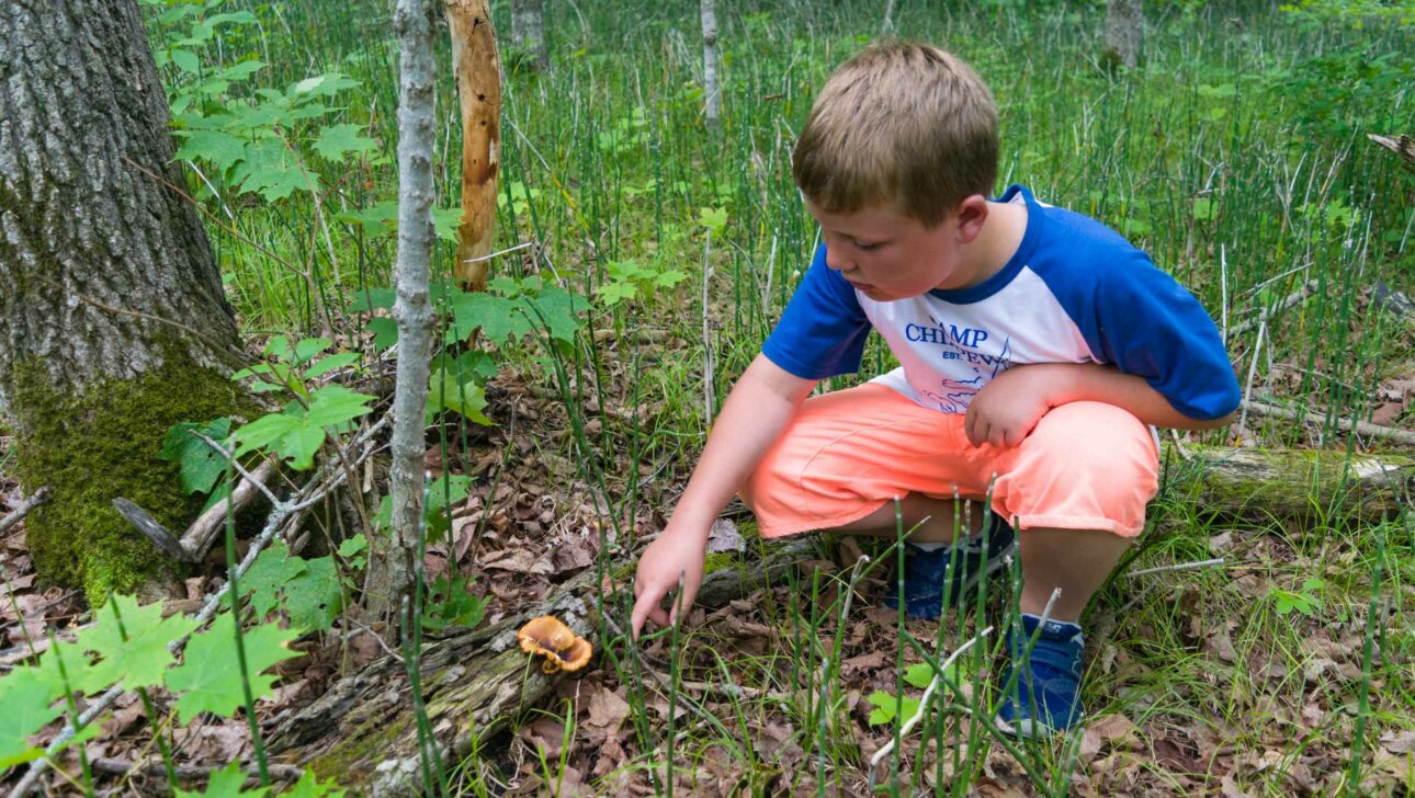 young boy poking at mushroom on the forest floor.