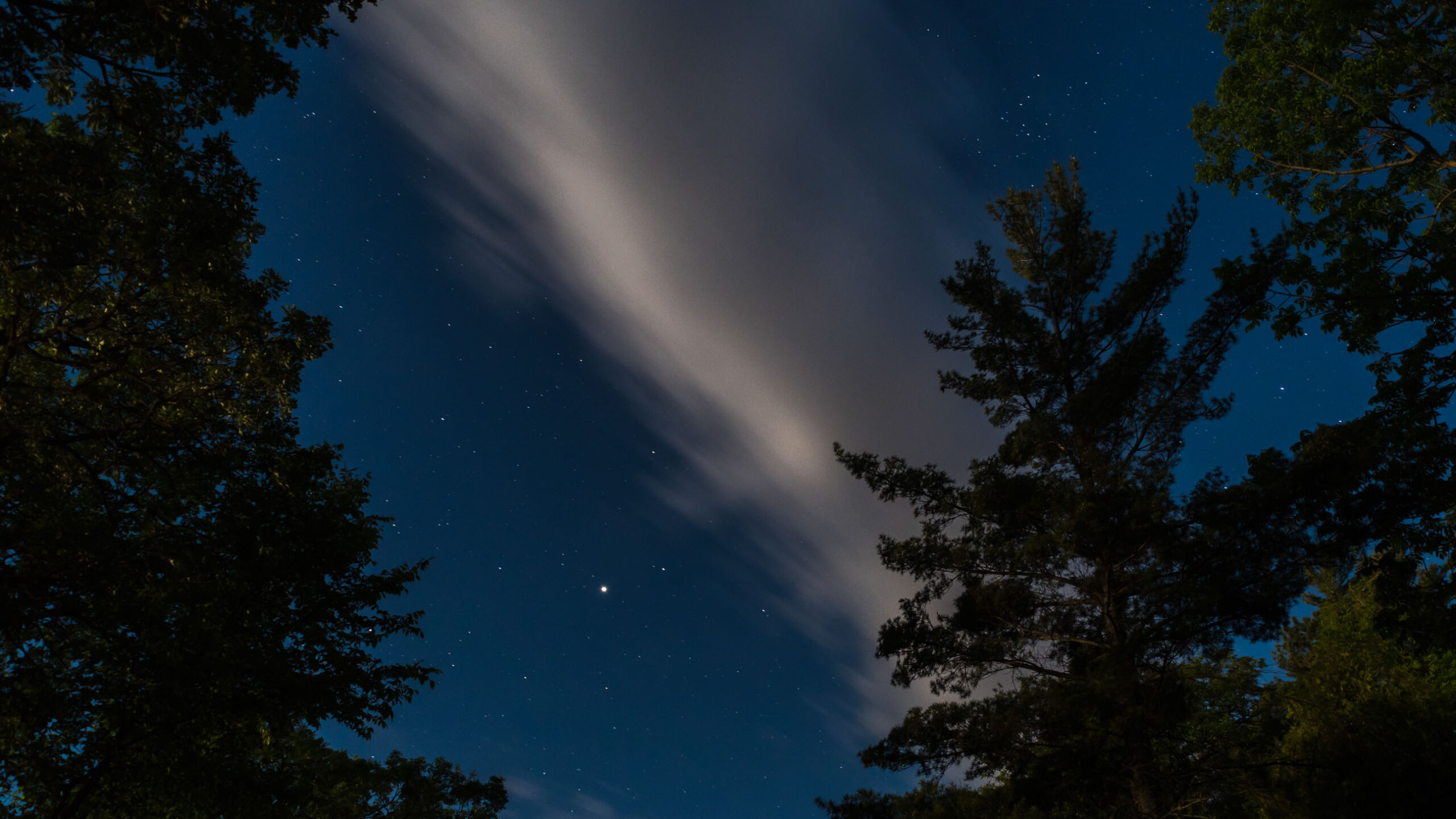 long exposure shot of stars in the night sky.