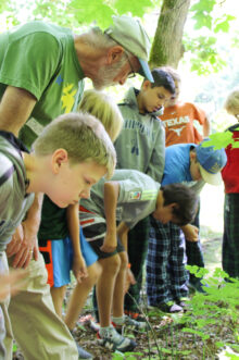 man showing boys some plants on the forest floor.